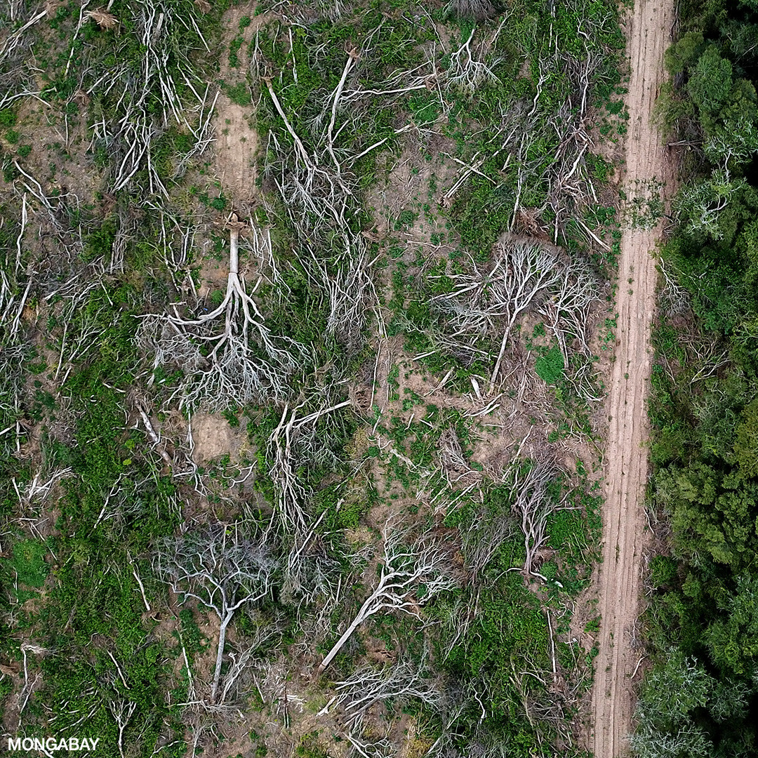 bolivia_drone_190172_16x9-after-amazon-deforestation-mongabay-cellag.gr