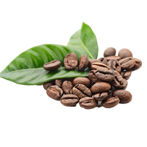 coffee-leaf-cellag.gr(1)