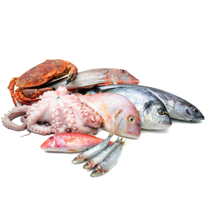 seafood-fish-alternative-cellag.gr