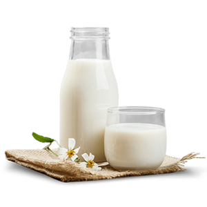 tdairy-milk-plant-based-alternative-300-cellag.gr